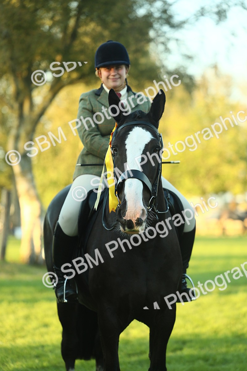 SBM_56555 - S14 - Riding Club Horse