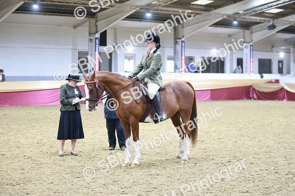 SBM_08122 - Class 11R - Regional Ridden Veteran