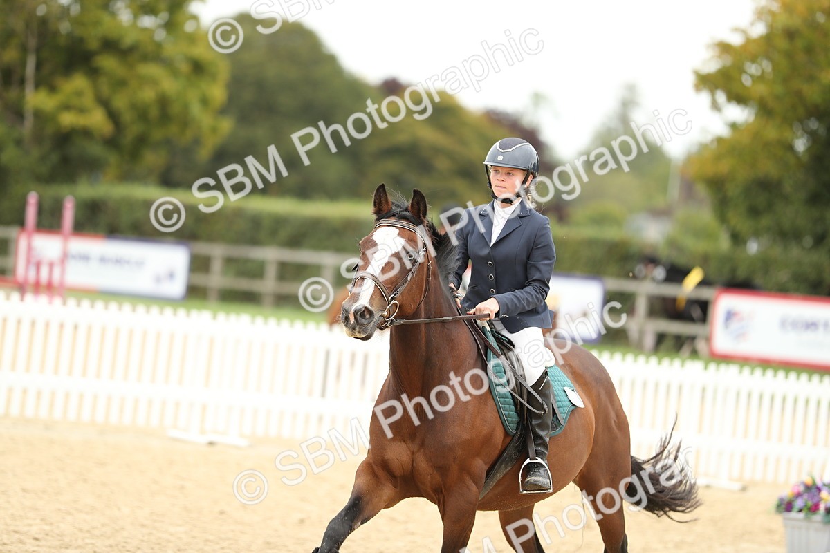 SBM_63092 - Supreme championship 75cm 80cm