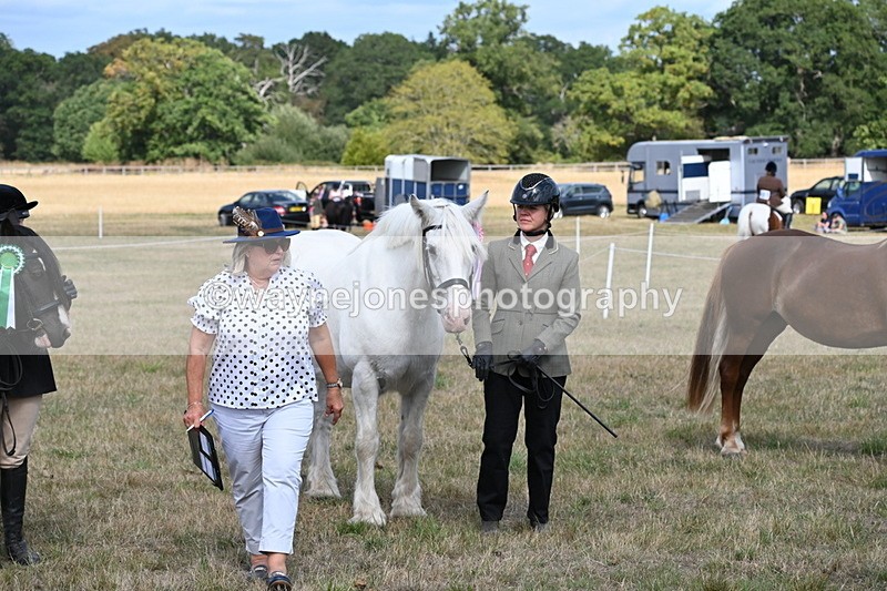 WJ6_6774 - Class 20 In-hand Cob