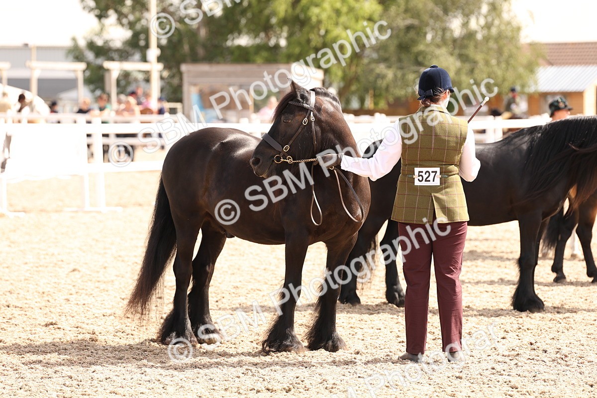 SBM_15108 - Class 209 - IH Veteran Pony