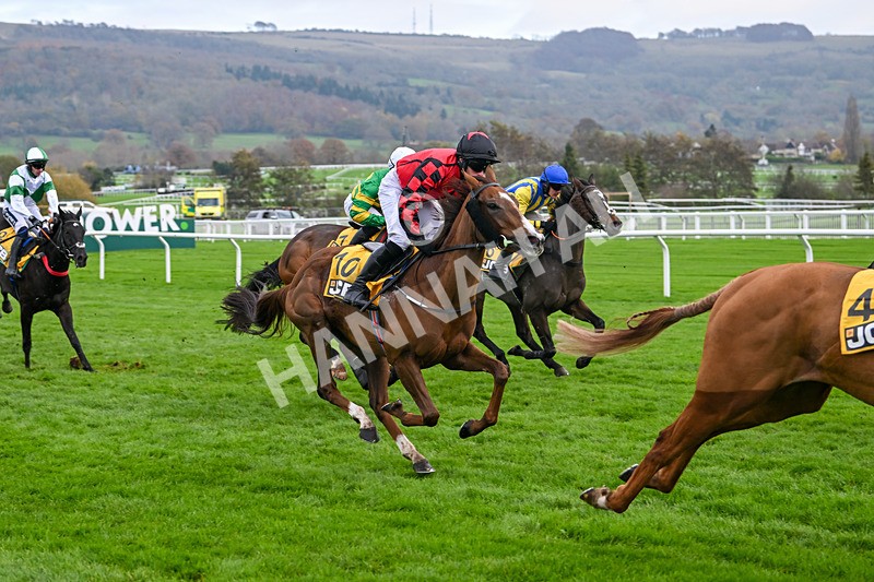 161124-Race 1-Prairie Angel-9202 - Race 1