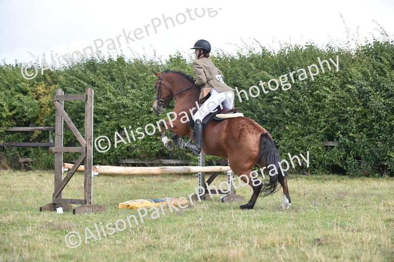 20250831-4008 - Class 12 - Working Hunter Pony 14.2hh and Under