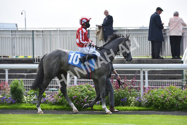 yr10072021r4-1 - Race 4: 3.30pm John Smith's Nursery Stakes