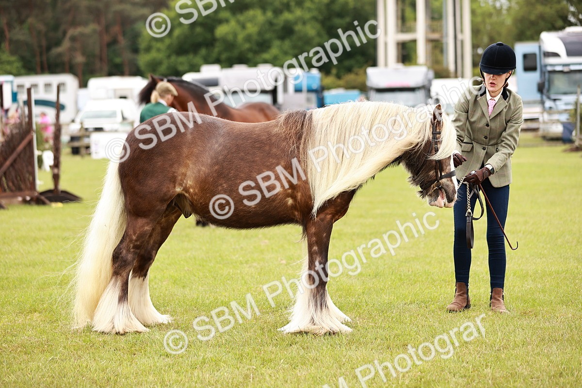 SBM_06055 - Class 39-41 TGCA In Hand and Ridden