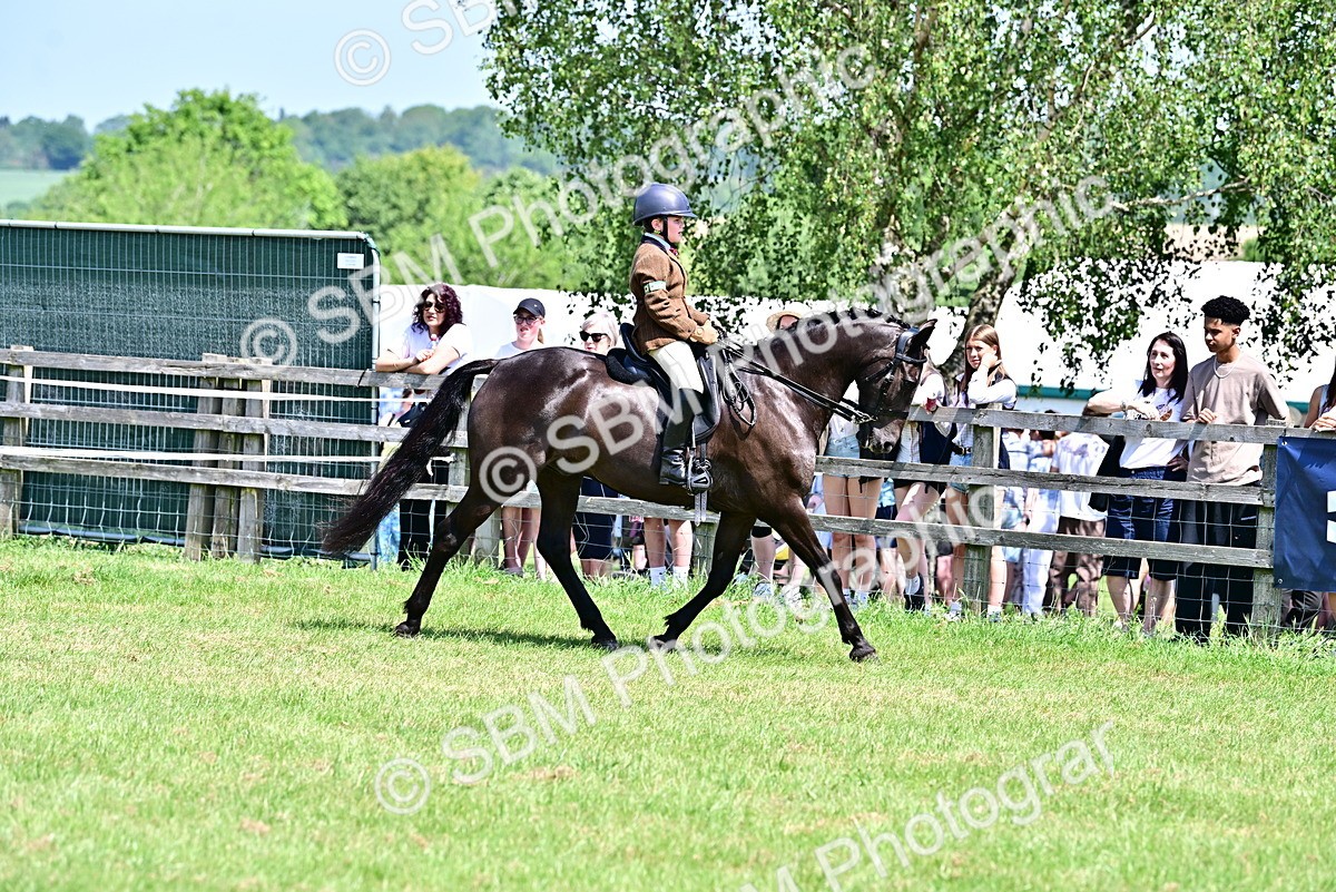 SBM_15267 - Class 95-97 - BSPS LHS Performance Ponies