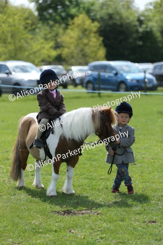 20250427-3903 - Class 10 - Best Mane and Tail