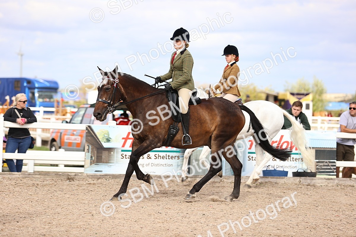 SBM_18053 - Class 422 - Equitation (Best Rider) Jnr