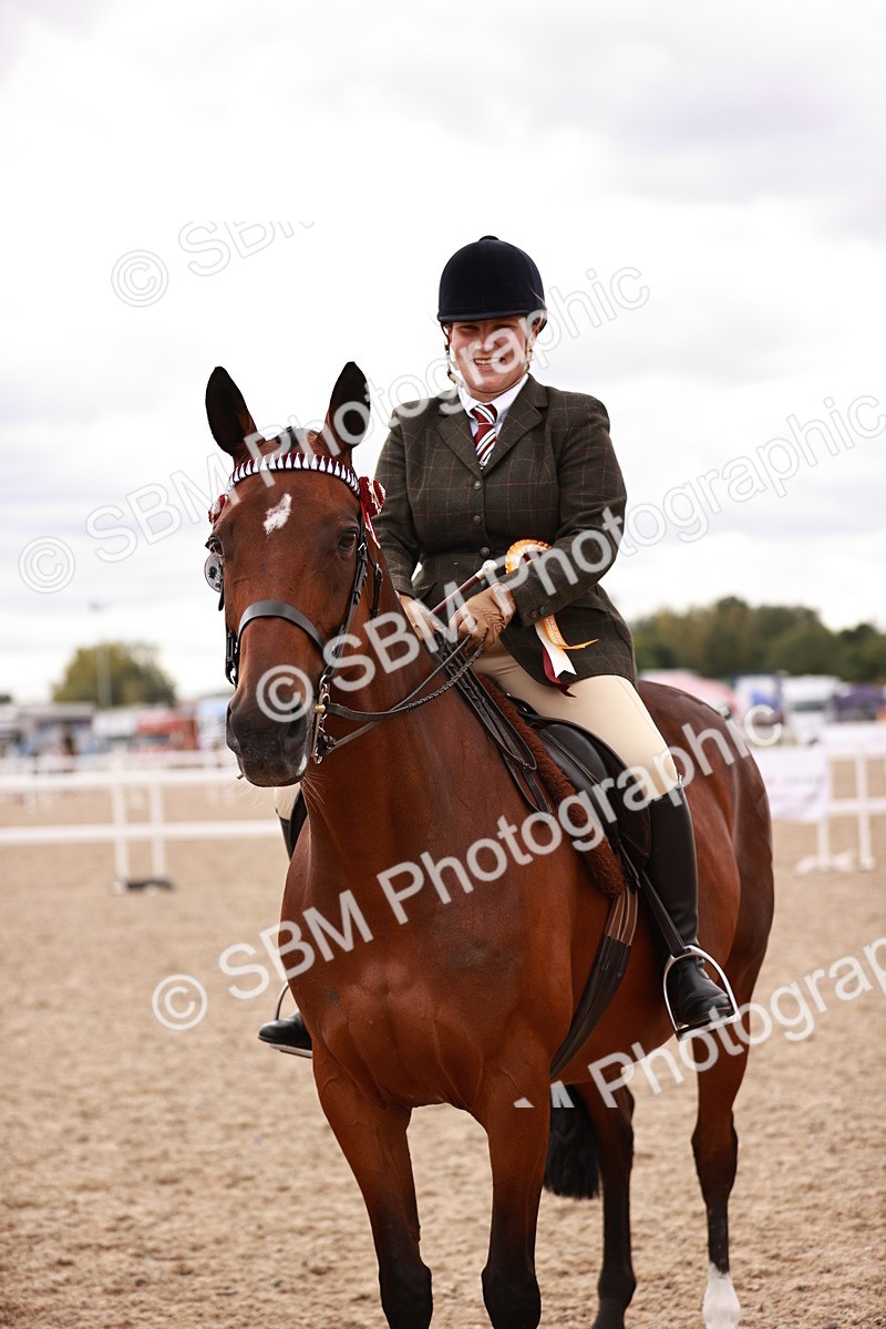 SBM_16146 - Class 411 - Prettiest Mare - (IH or Ridden Adult)