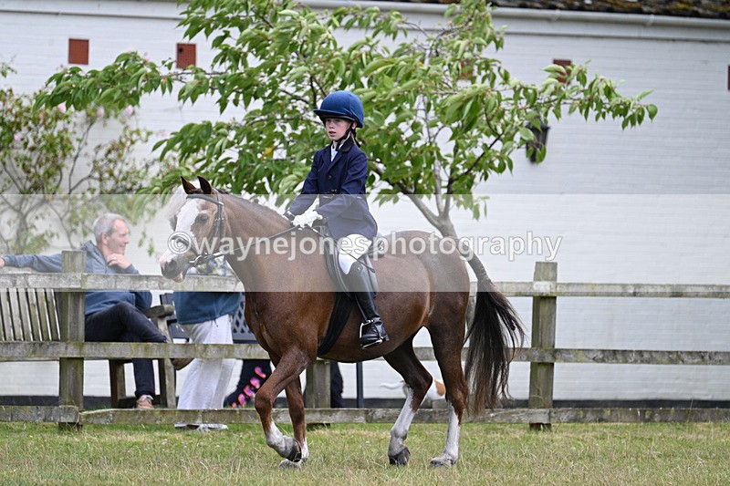 WJ7_9153 - Class 8 Ridden Veterans