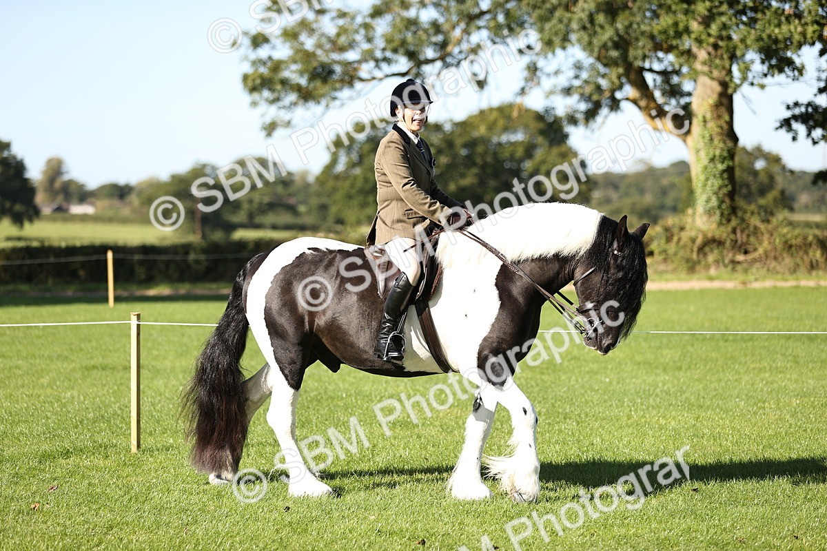 SBM_16867 - S2 - TSR Ridden Pony Showing