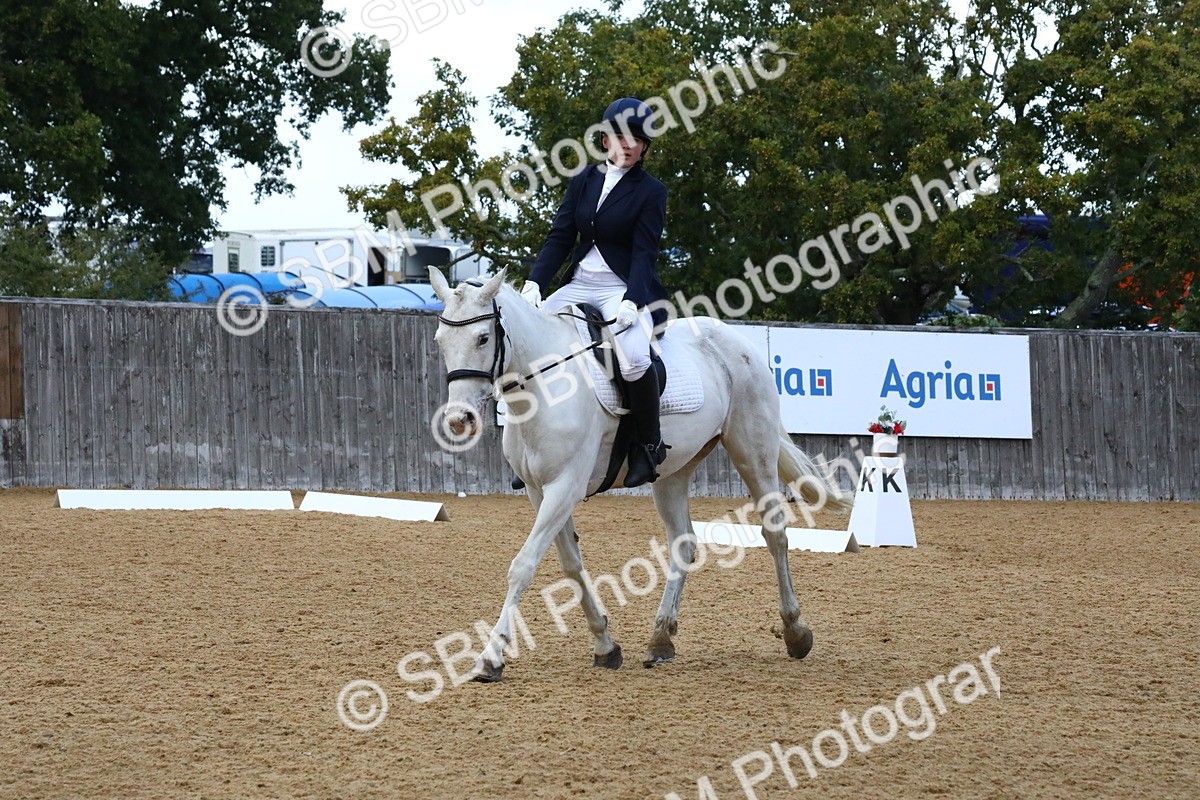 SBM_20975 - D5 - Small Tour Championshop Intro 2