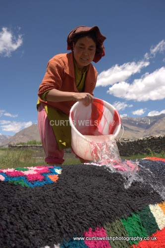 43 - LADAKH - INDIA