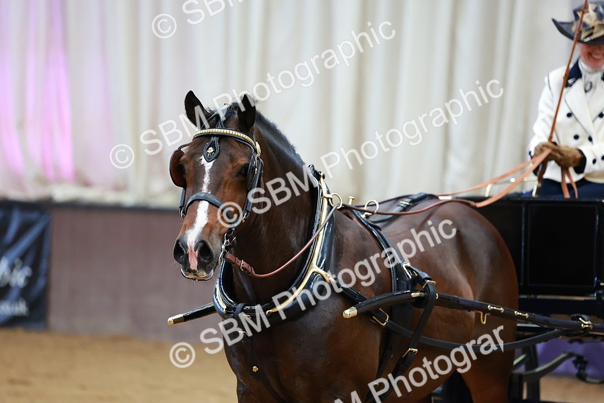 SBM_000188 - Class 3 - Alison Thomas Memorial Lady Whip