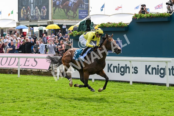 170524-Race 2-Botanical-7688 - Race 2 2.45pm Knights Solicitors Handicap