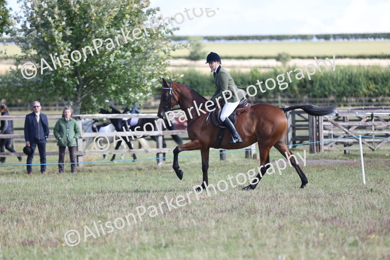 20250831-0849 - Class 14 - Ex Racehorse