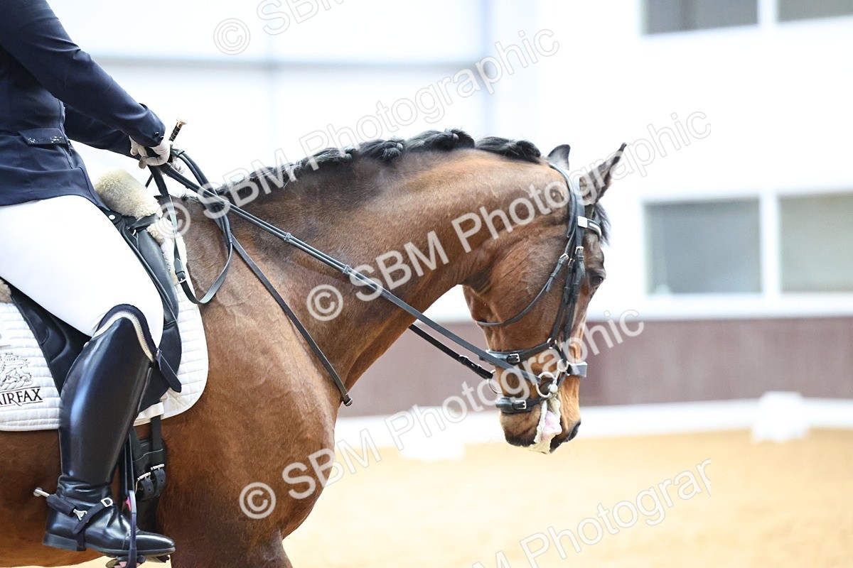 SBM_008109 - Class 21 - Medium 5