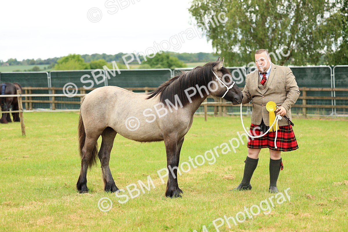 SBM_00447 - Class 58-67 - M&M Non Welsh Pony In hand