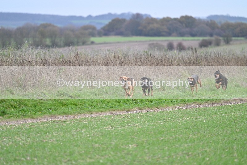 WJ7_2513 - Camera A