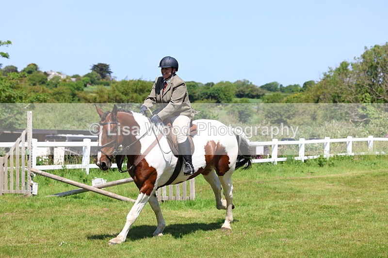 3E7A7272 - Class 30: Novice Working Hunter