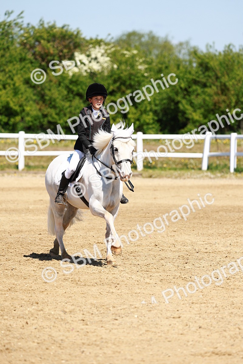 SBM_007154 - Class 3 - 60cm