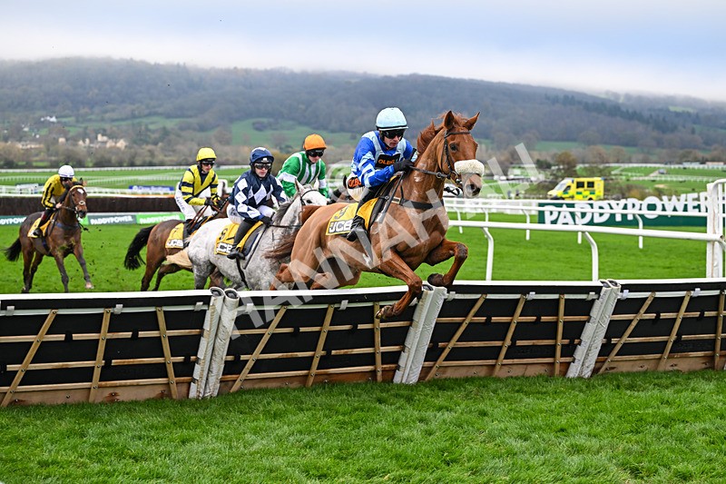 151125-Race 1-One Horse Town-2056 - Race 1