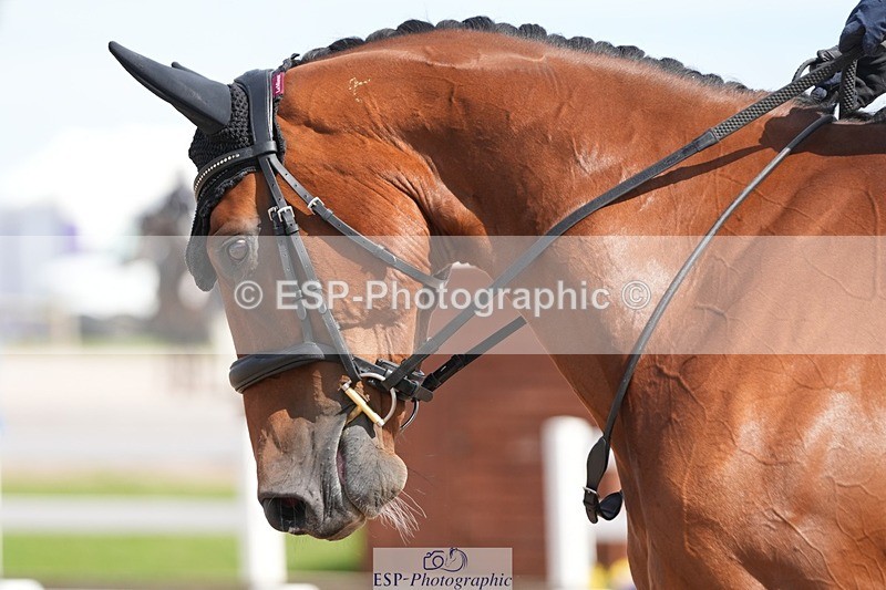 250906-133408-03657 - 066-Alice.KneenSpringtime.Marvel