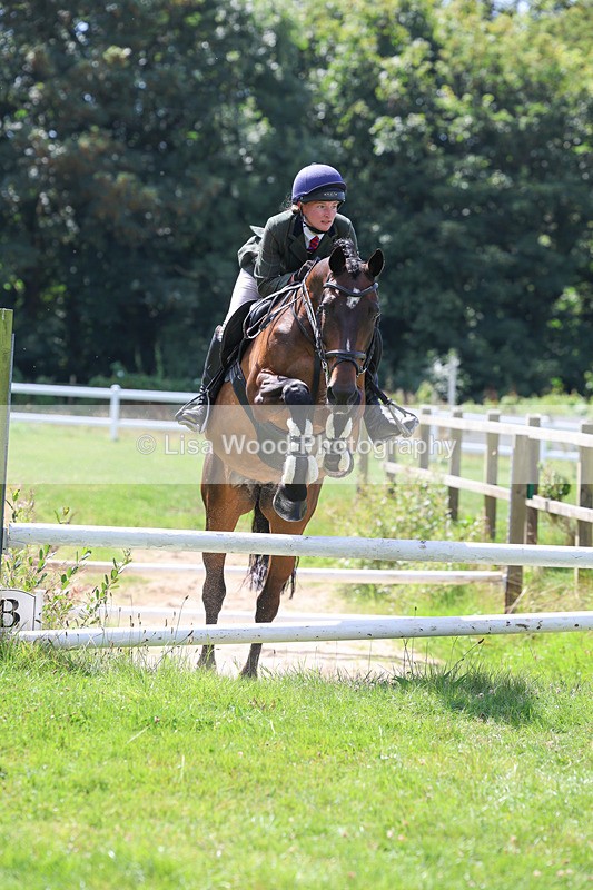 3E7A8921 - Class 6: Open Working Horse