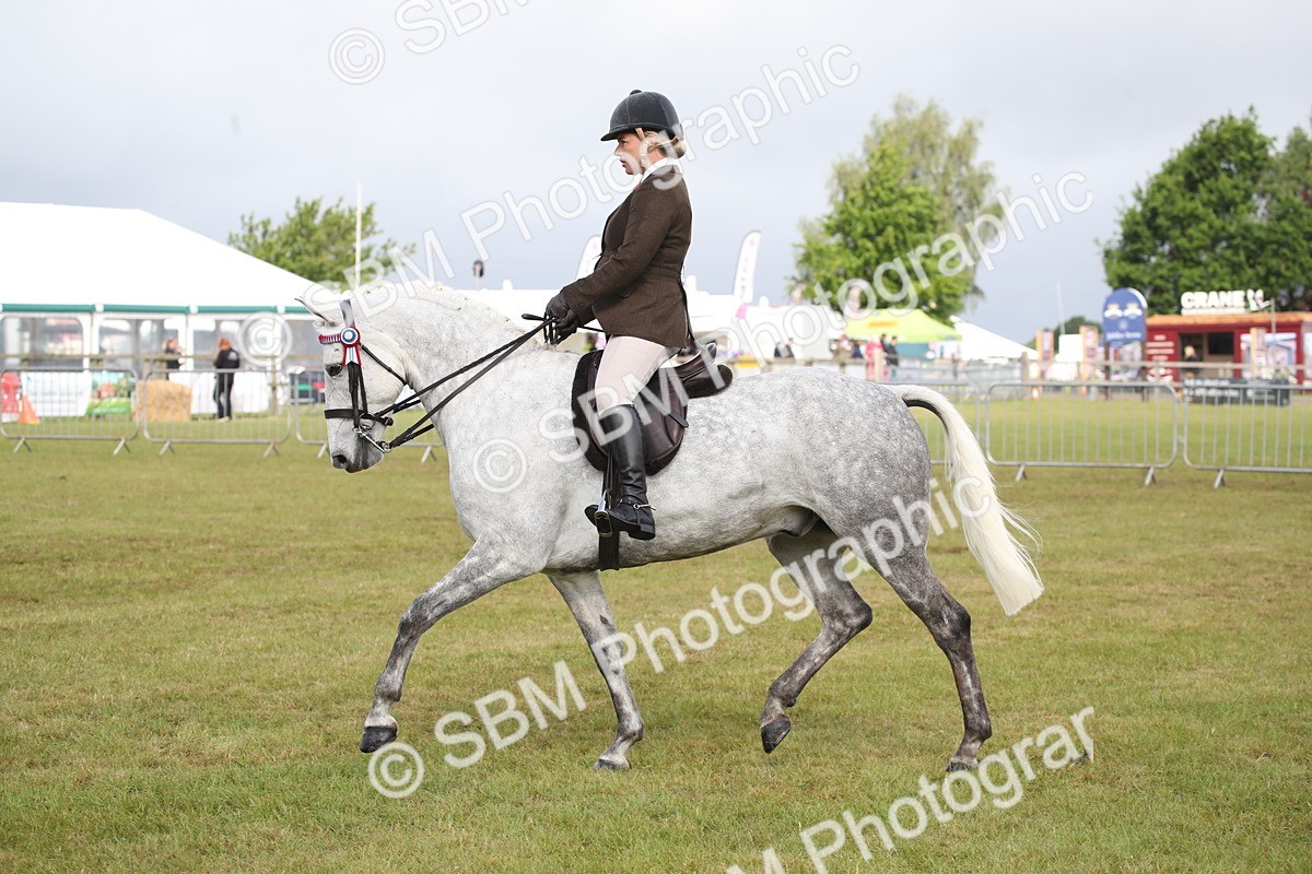 SBM_11518 - Class 95-96 - LIHS BSHA Rising Star Hack Riding Horse