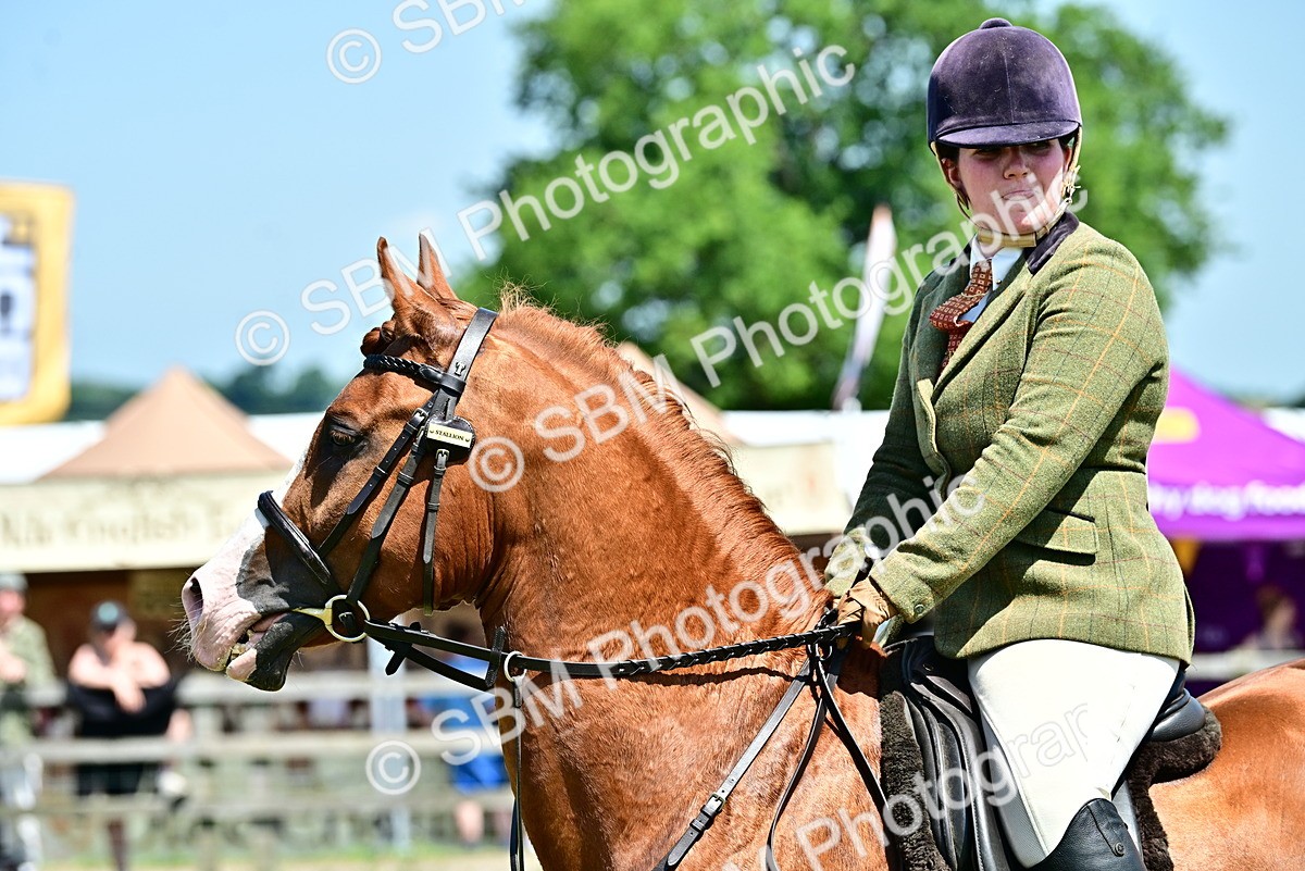 SBM_17450 - Class 95-97 - BSPS LHS Performance Ponies