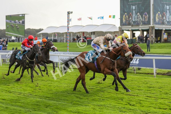 131023-Race 5-Irish Nectar-9872 - Race 5 4.25pm Parsonage Hotel And Cloisters Spa Nursery Handicap