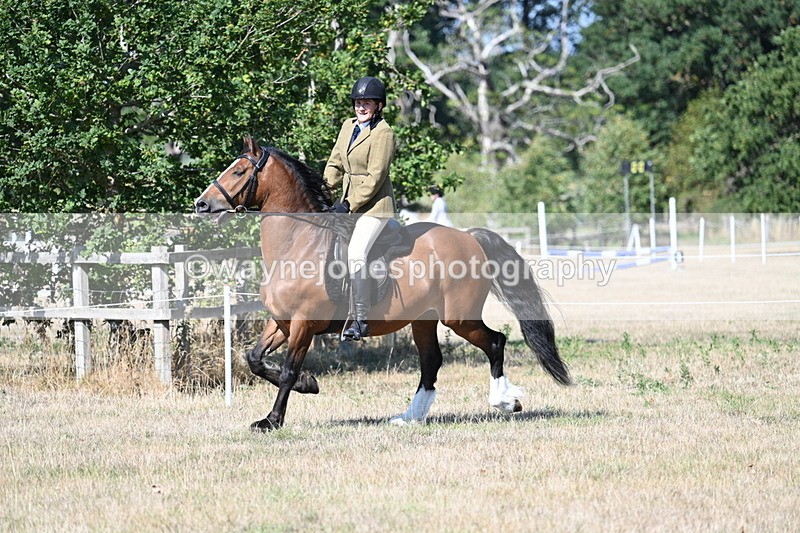 WJ7_3754 - Class 9 Mountain & Moorland Ridden
