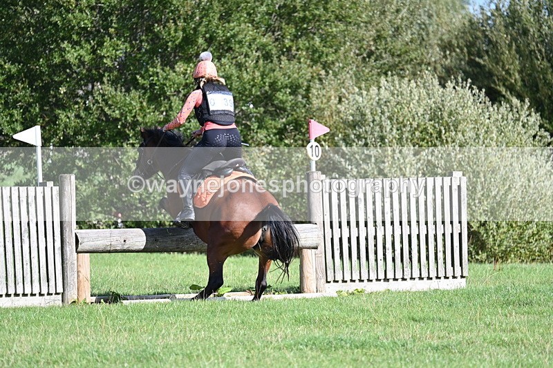 WJ7_1292 - Time 13:56 to 14:24