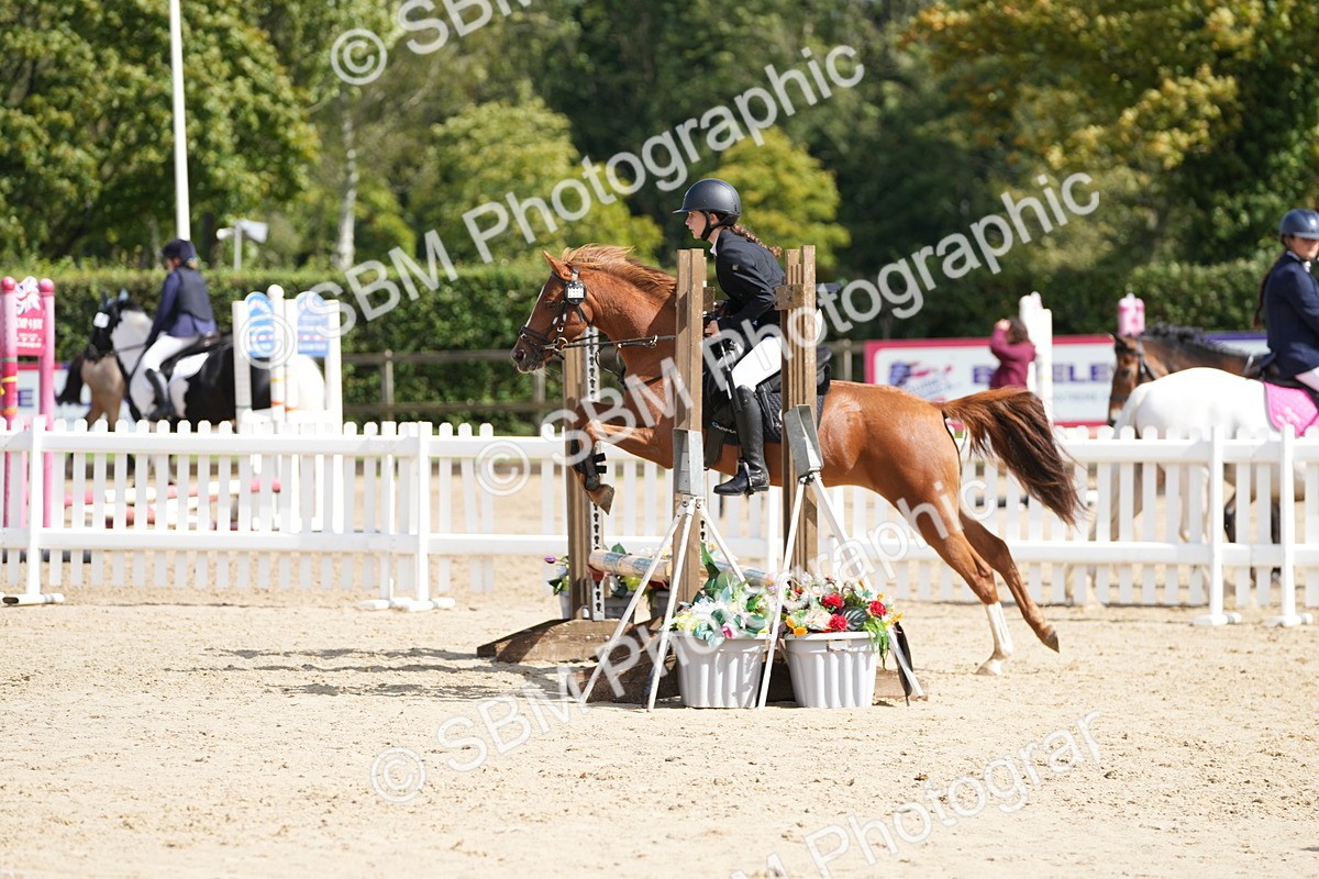 SBM_20624 - J49 - Open 50cm