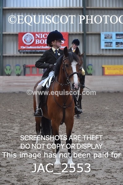 JAC_2553 - CLASS 3 Intermediate Working Hunter