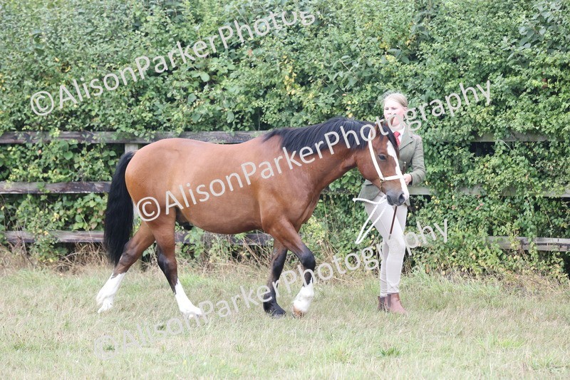 20250831-3018 - Class 23 - Child Handler