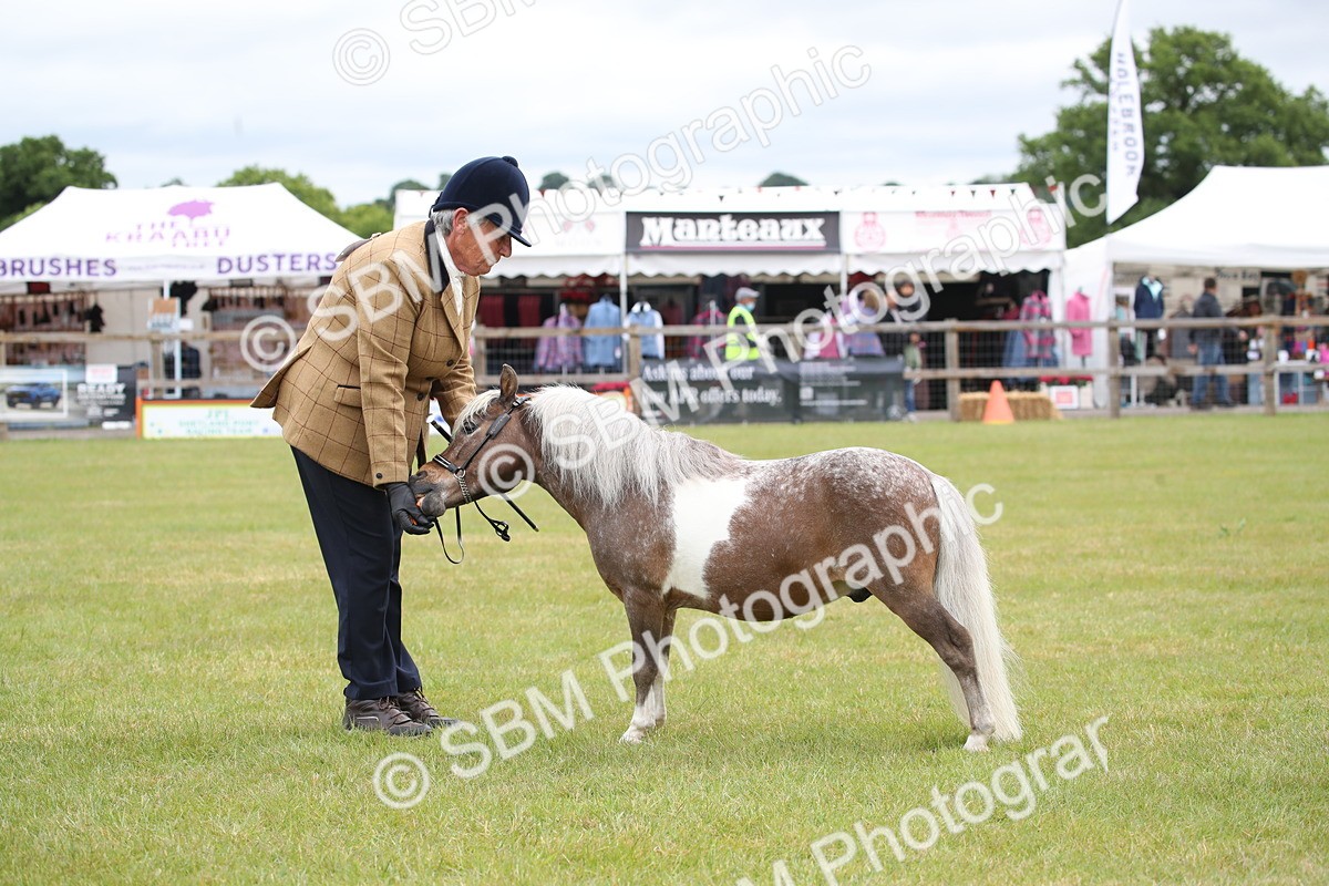 SBM_03794 - Class 23-25 - British Miniature Horse of the Year