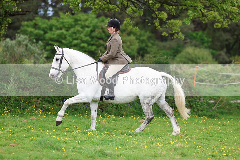 3E7A1180 - Class 7: Ridden Hunter Type