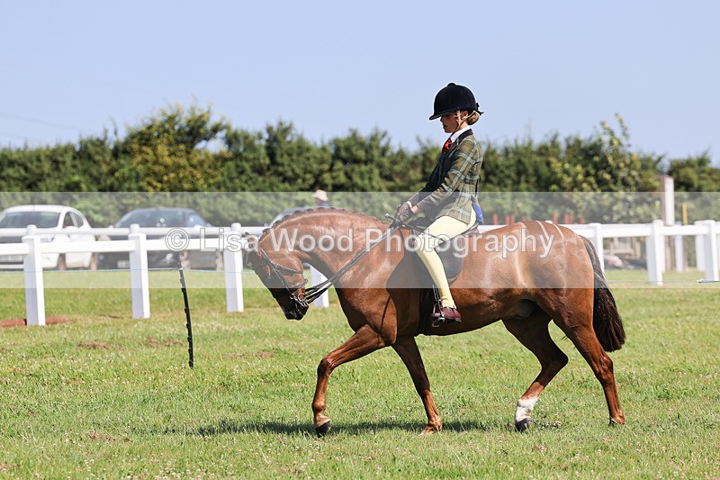 IMG_2011 - Class 34: Show Hunter Pony 153cm and under