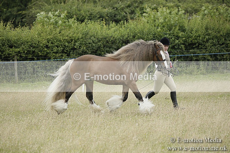 B230619-0864 - Bourne Valley Riding Club Summer Show 23/06/19