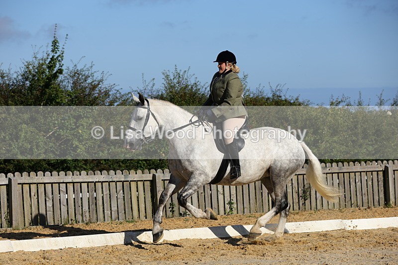 1X9A7592 - Class 7: Novice Ridden Hunter/Hack/Cob/Riding Horse