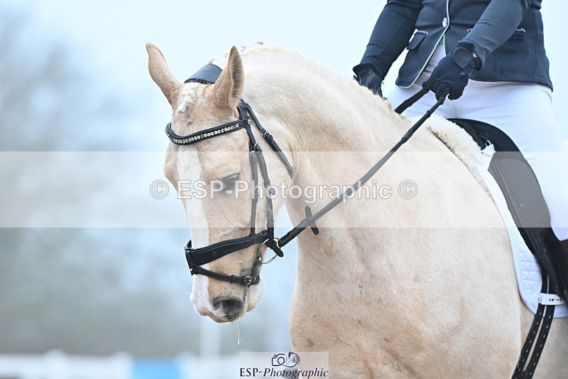 240217A-092114-00356 - 130-Kate.Kerswell-Top.Gun.RB