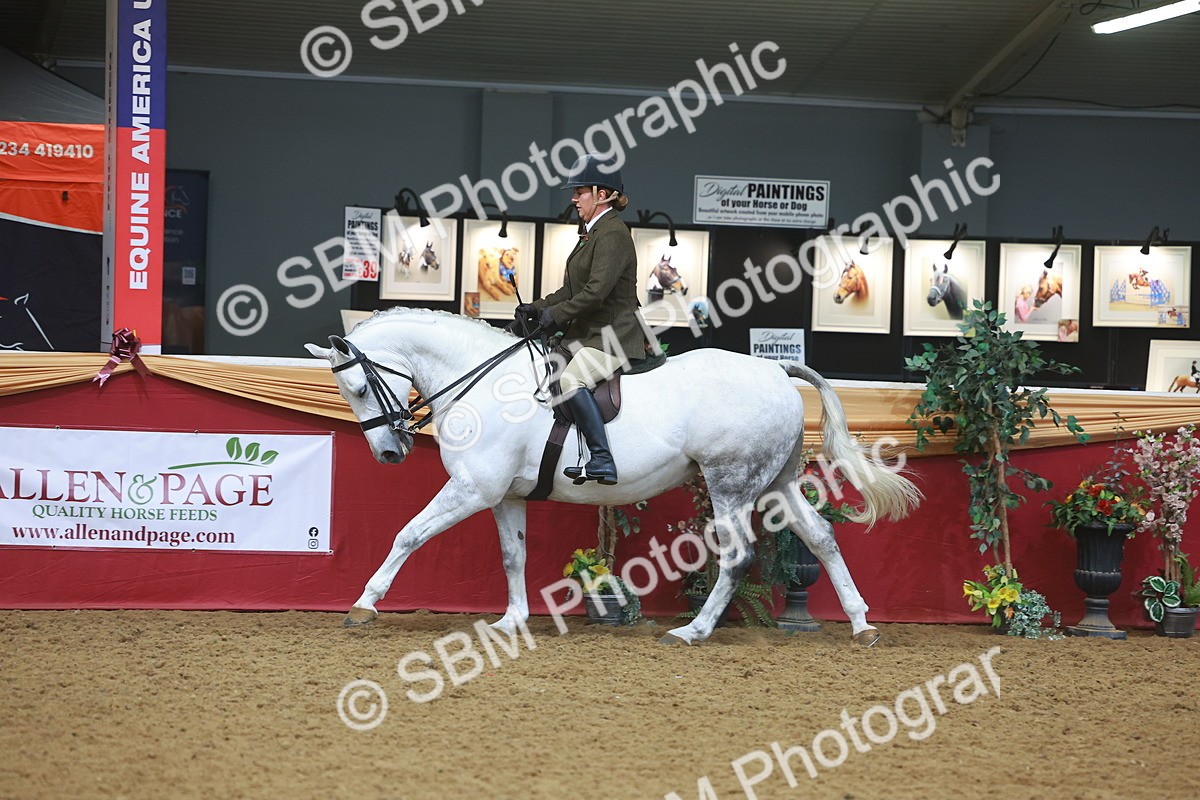 SBM_10555 - Class 103 - HOYS Veteran Qualifier - Ridden Pre Vet