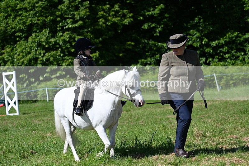 WJ7_0580 - Class 8 First Rally Pony