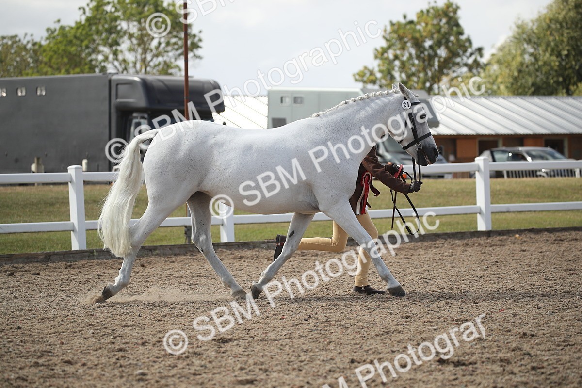 SBM_23589_Class 605 - 2026 - Area - IH Veteran - Vicky Gutteridge