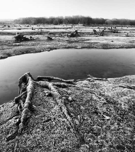 Fine Art Monochrome Of Frosty Winter Sunrise At The Gearagh, Macroom, Co. Cork, Ireland.