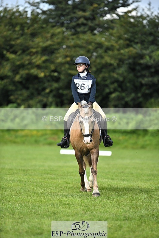 230826-102619-15474 - Sections C & D 10 to End