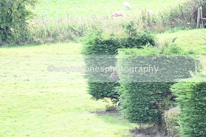 WJ7_7484 - Time 13:21 to 13:29