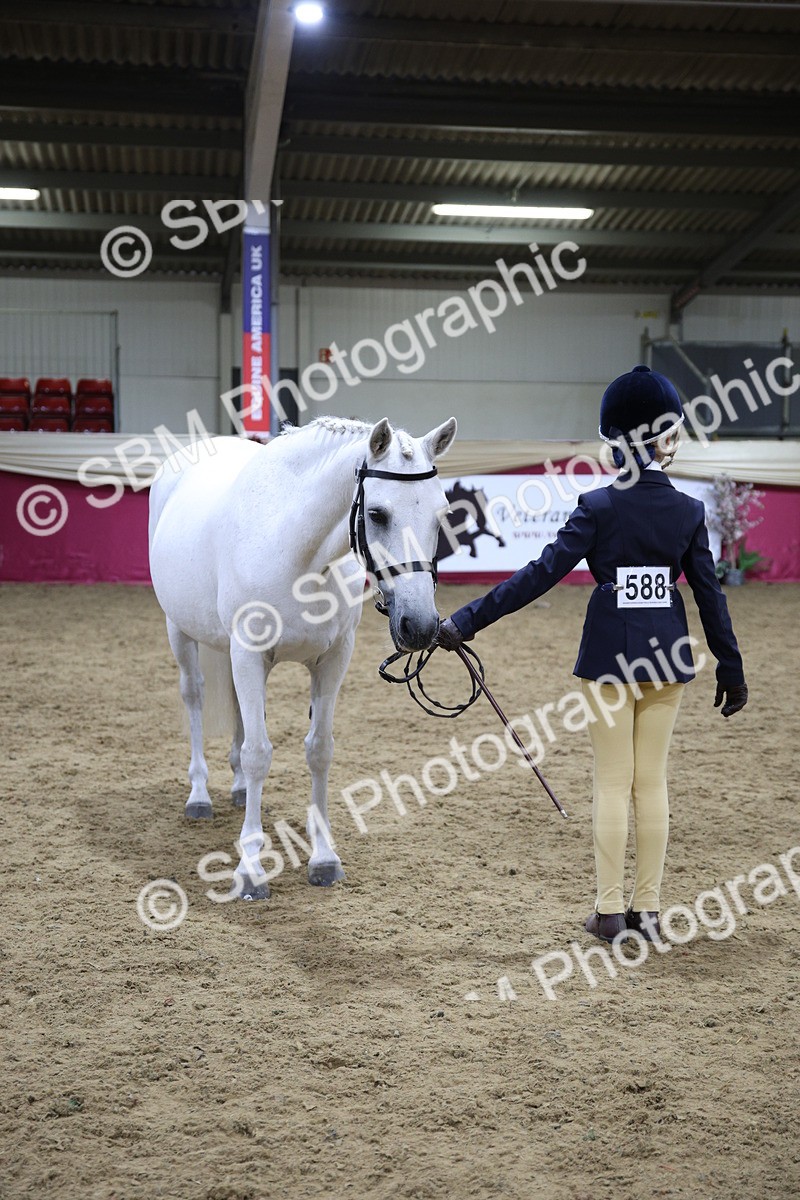 SBM_19042 - Class G Ridden Pony Champ