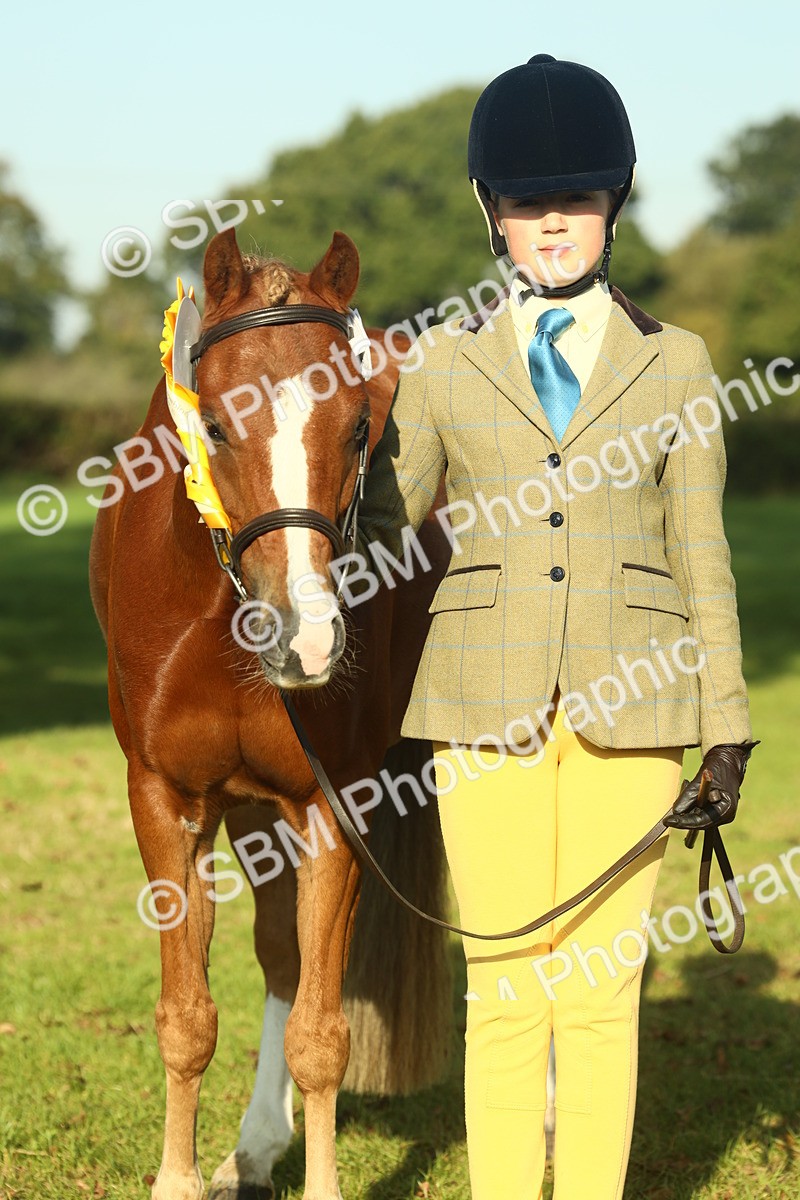 SBM_58495 - S37 - Starters In Hand Showing